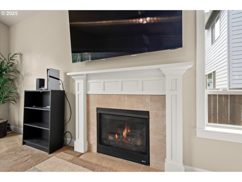 Fireplace Gas