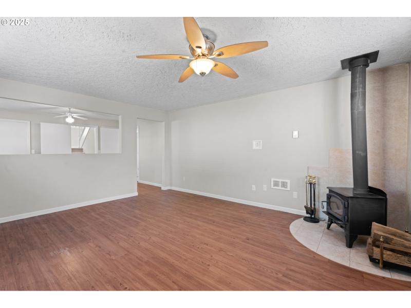 Fireplace Wood Burning Stove/Insert