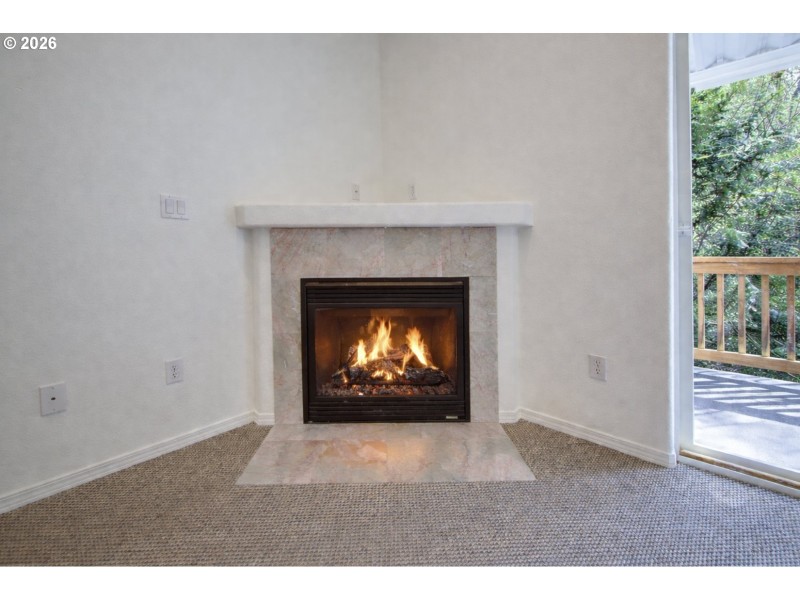 Fireplace Gas