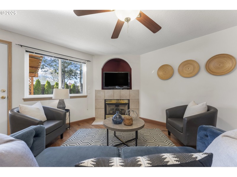 Fireplace Insert