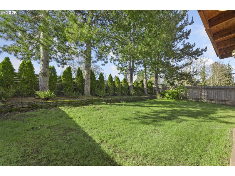 Yard