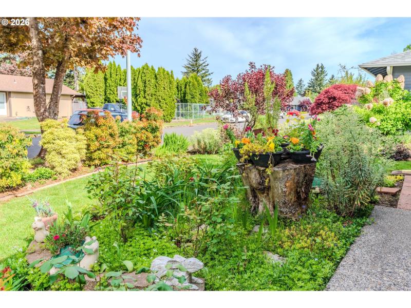Front Yard