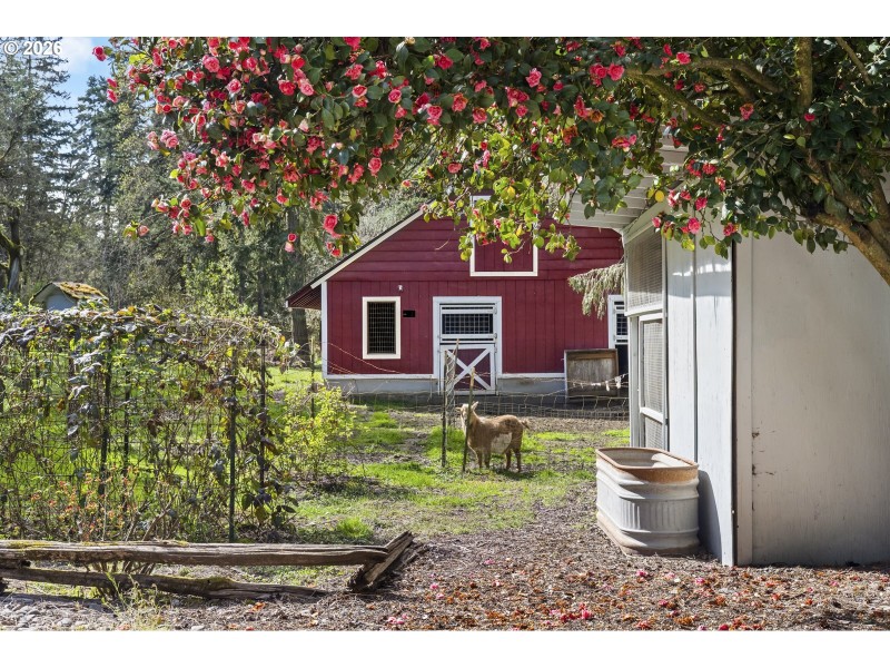 Barn