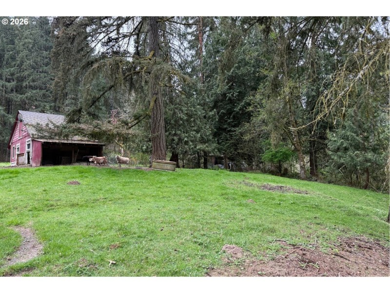 Pasture