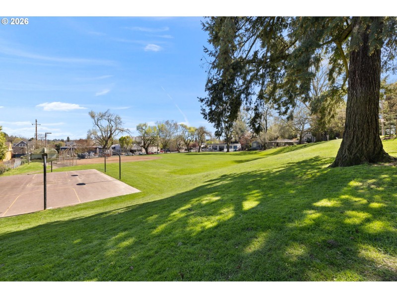 Community Park