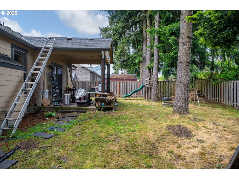 Backyard