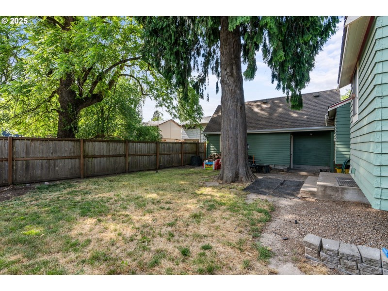 Backyard
