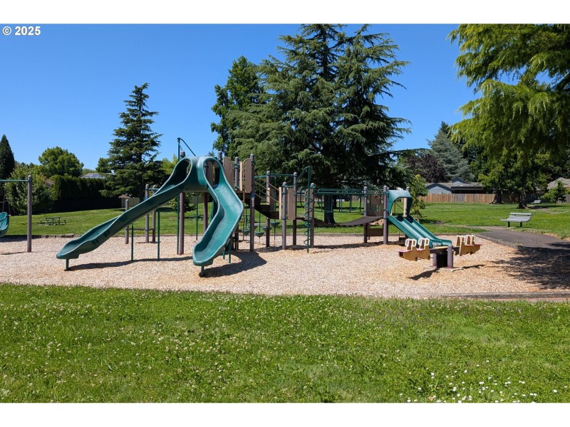 Community Park