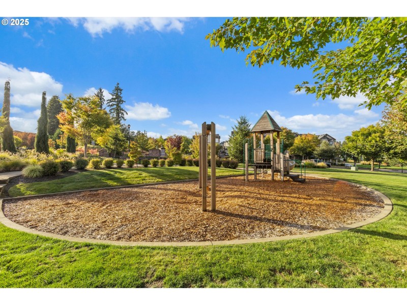 Community Playground