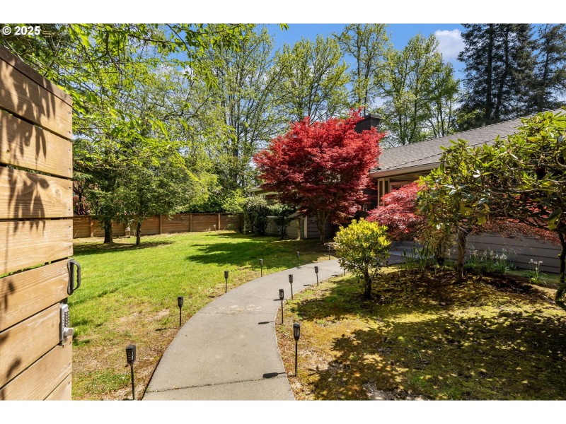 Front Yard