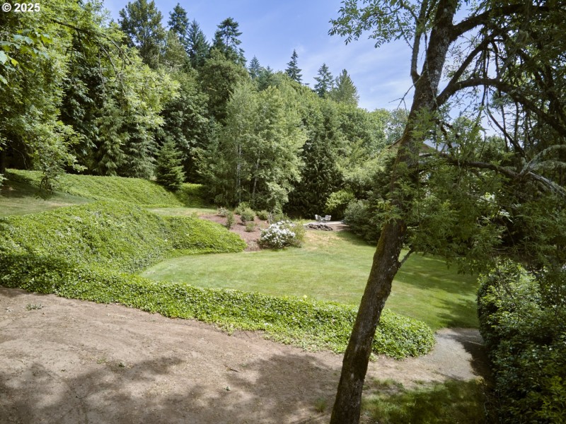 Yard