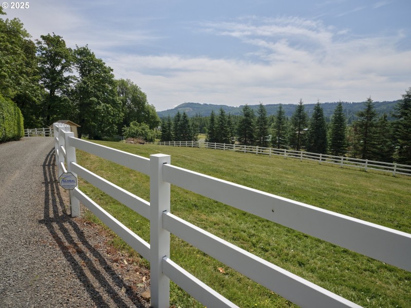 Pasture