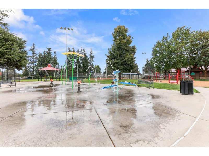 Community Park
