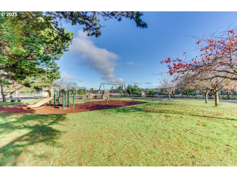 Community Park