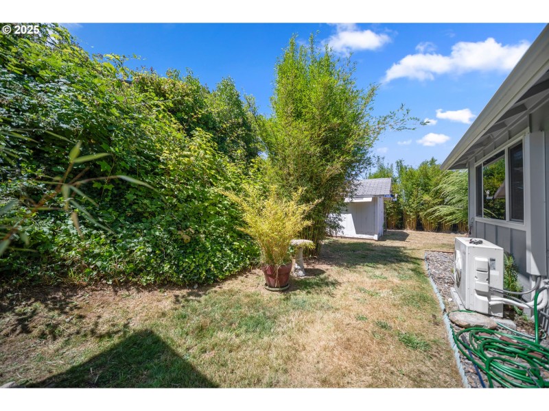 Yard