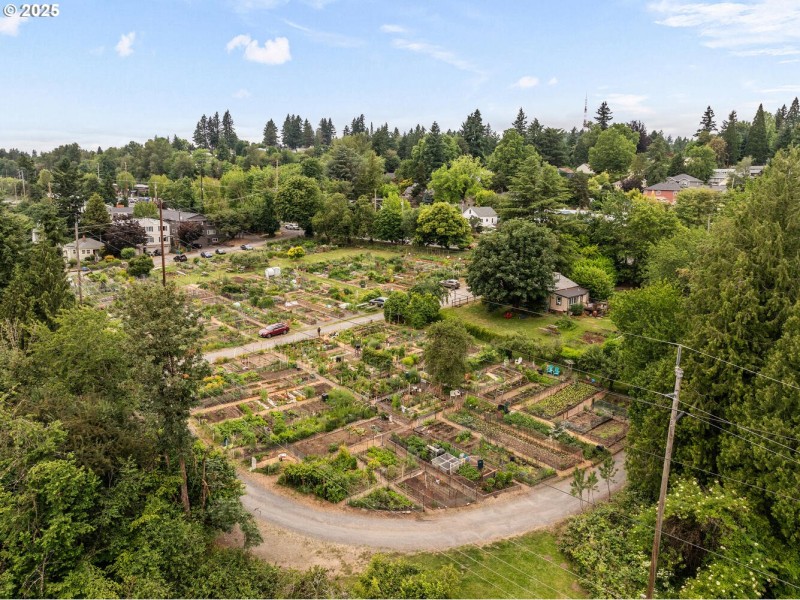 Neighborhood Park