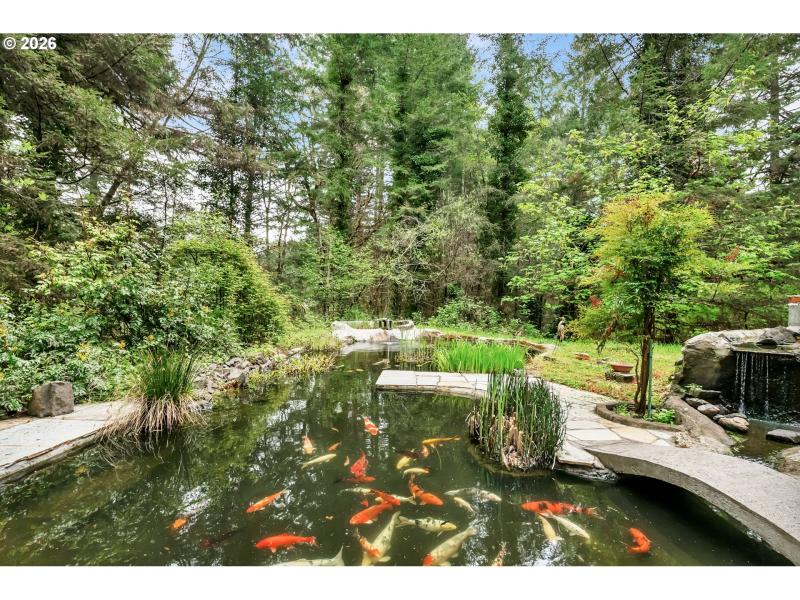 Pond