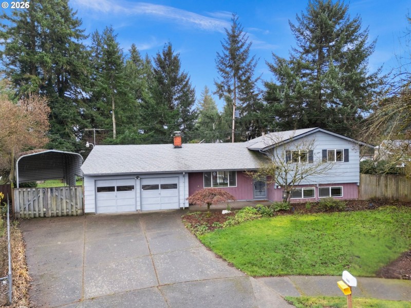 Front Yard