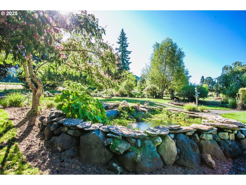 Water Garden