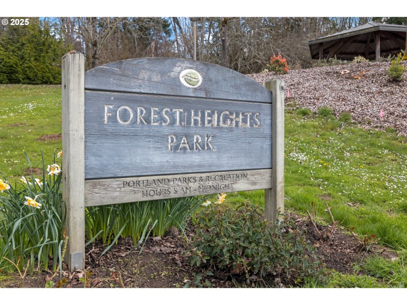 Community Park