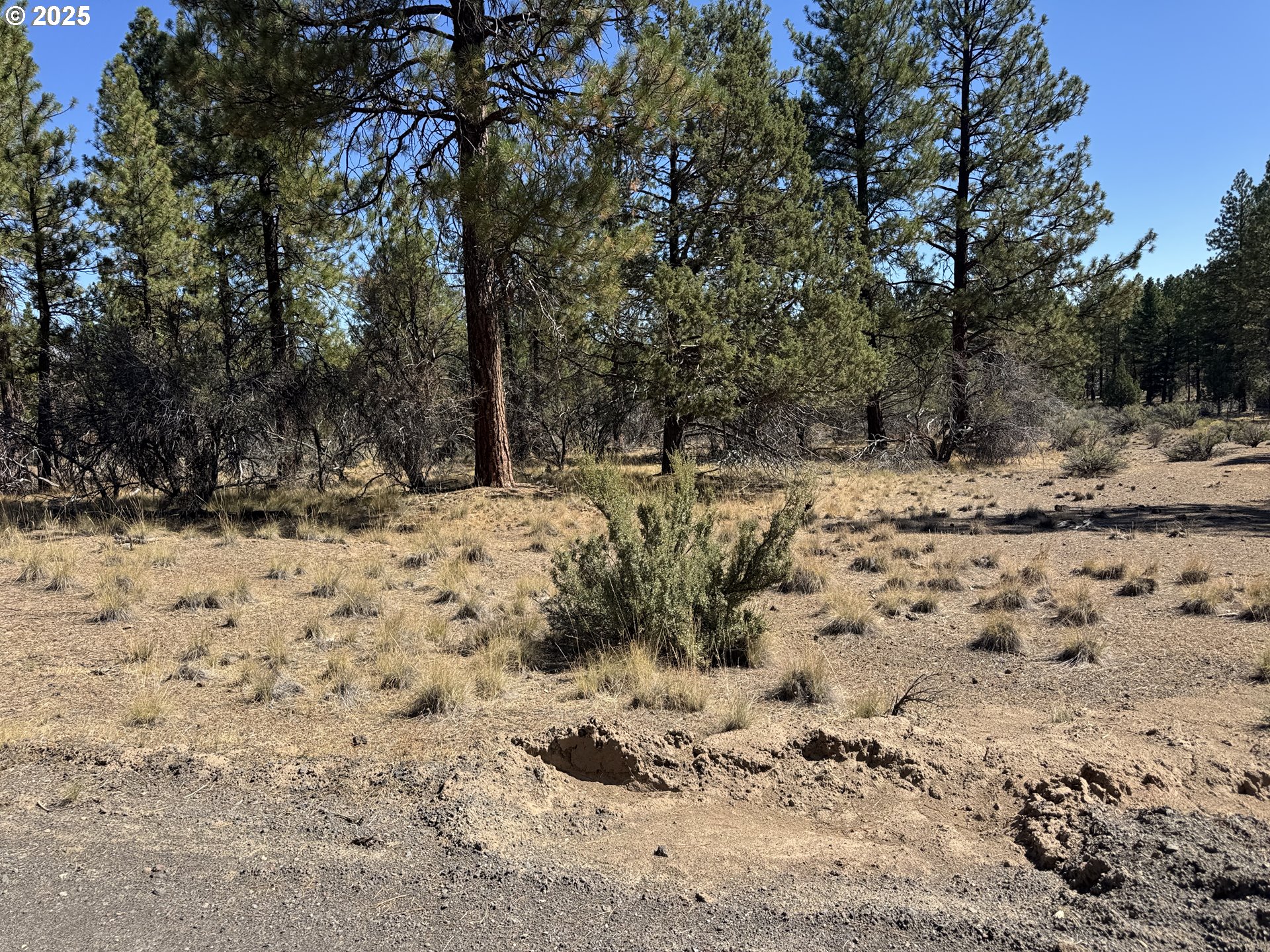 32818 JEAN ST, Chiloquin, OR 97624