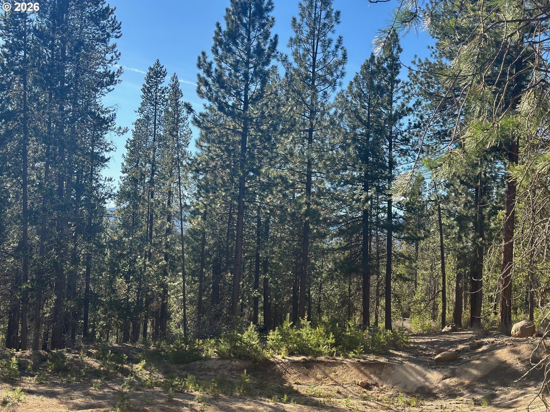 HWY 58, CrescentLake, OR 97733