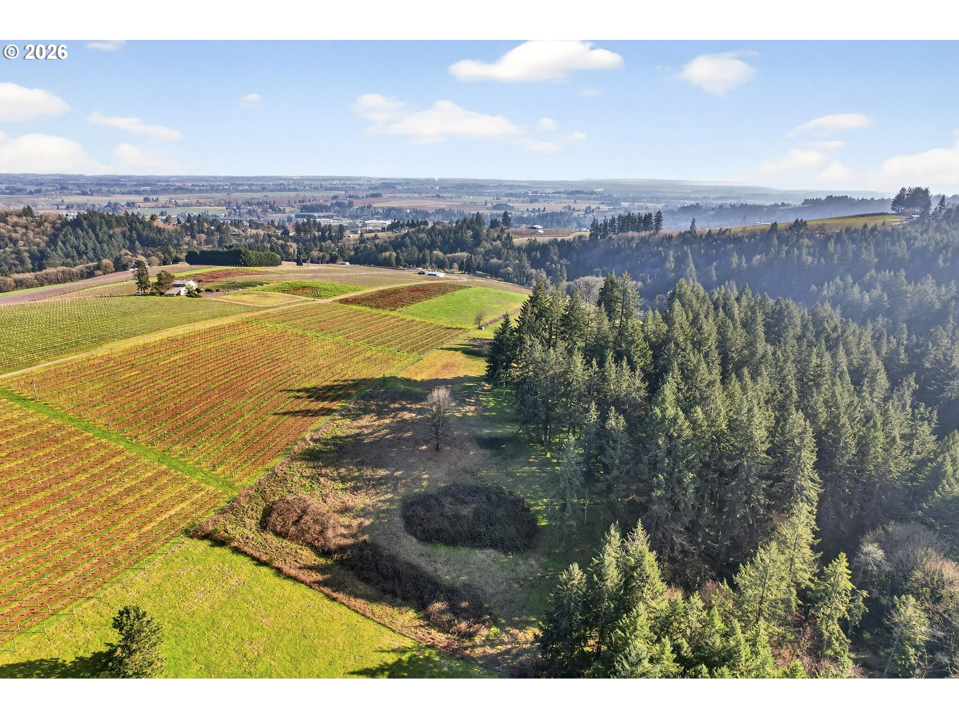 Fox LN, Dundee, OR 97115