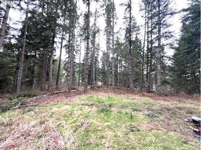 Highway 47, Vernonia, OR 97064