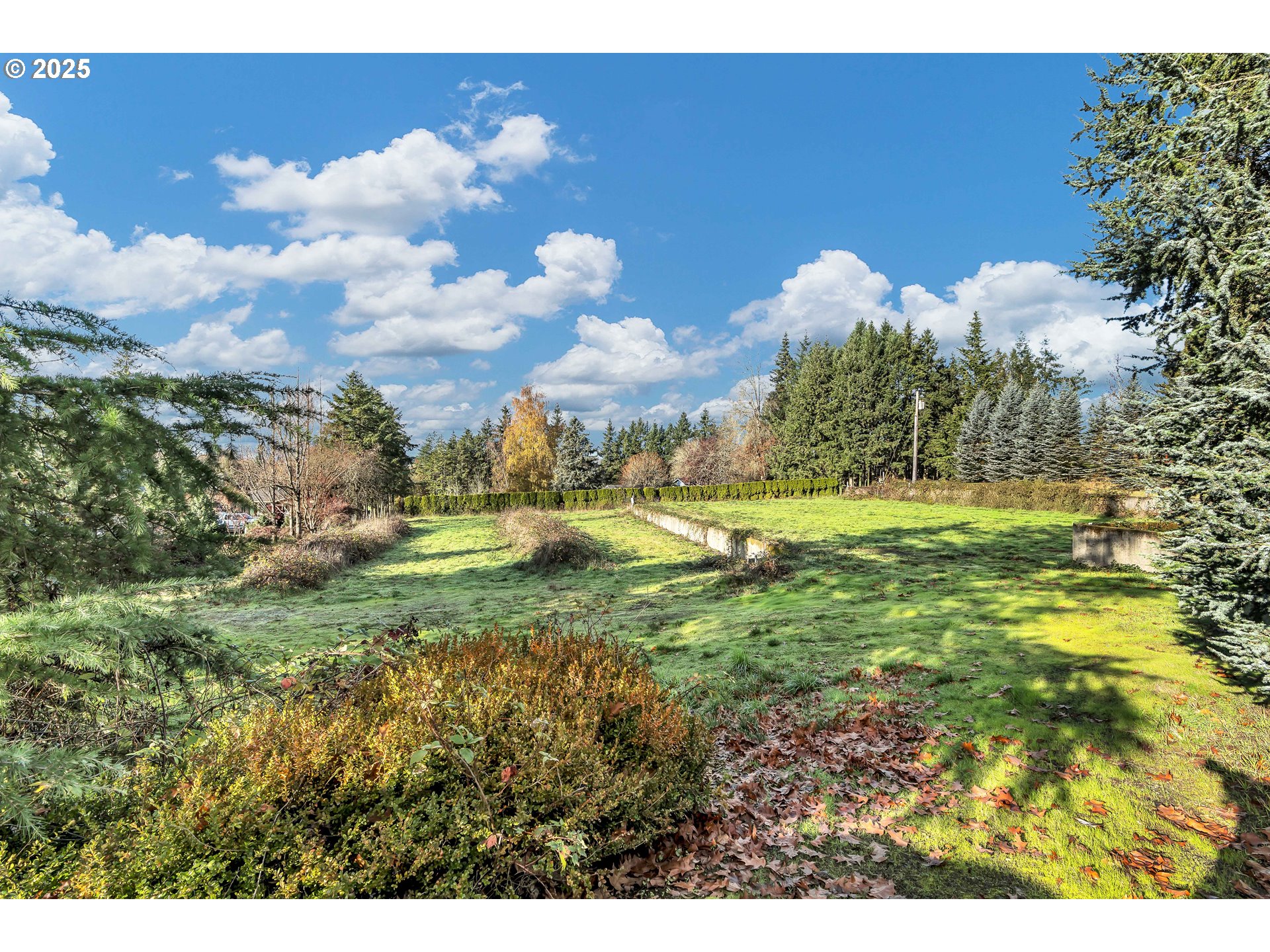 601 PARK ST, Carlton, OR 97111