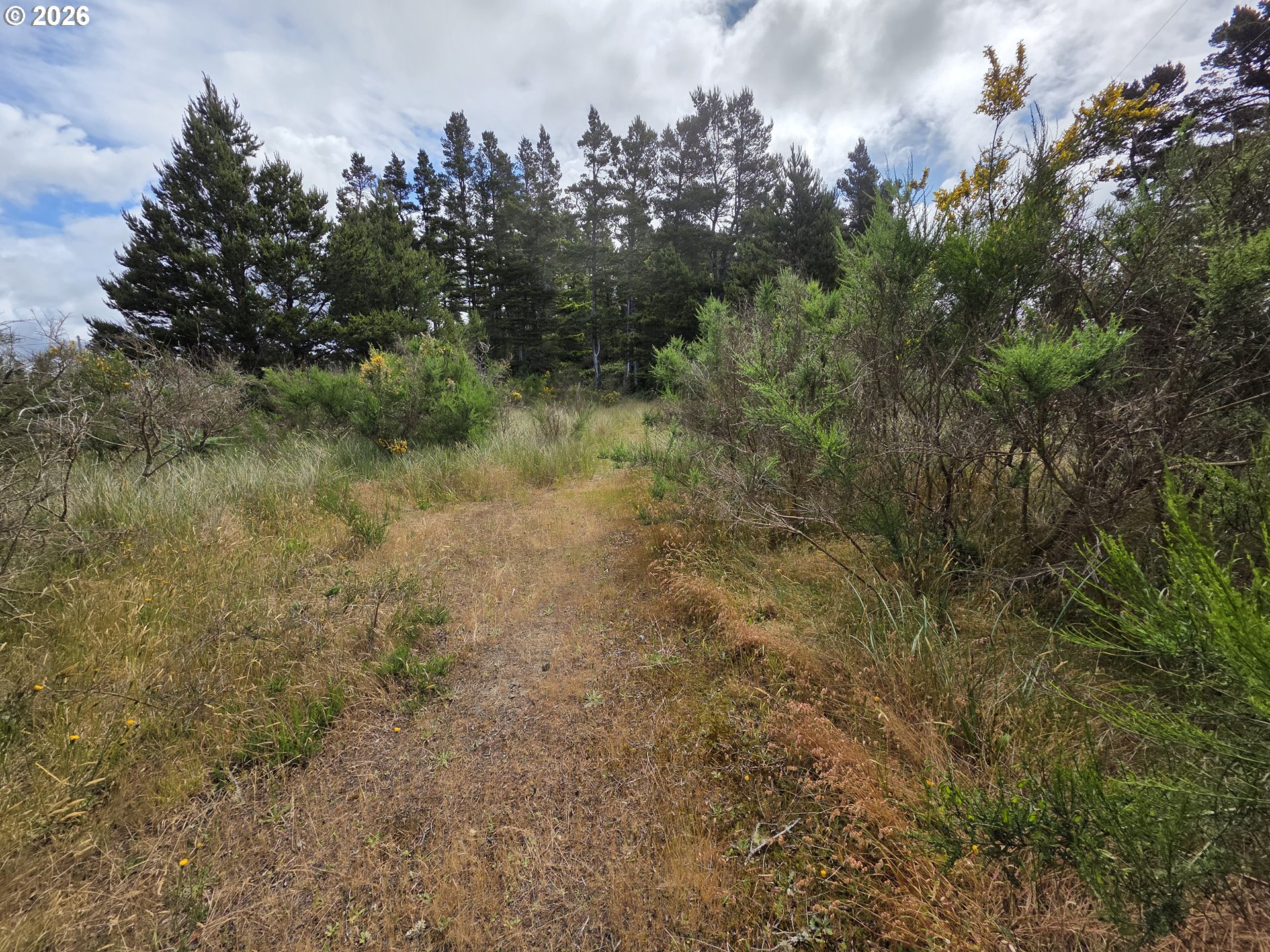 Highway 101, Florence, OR 97439