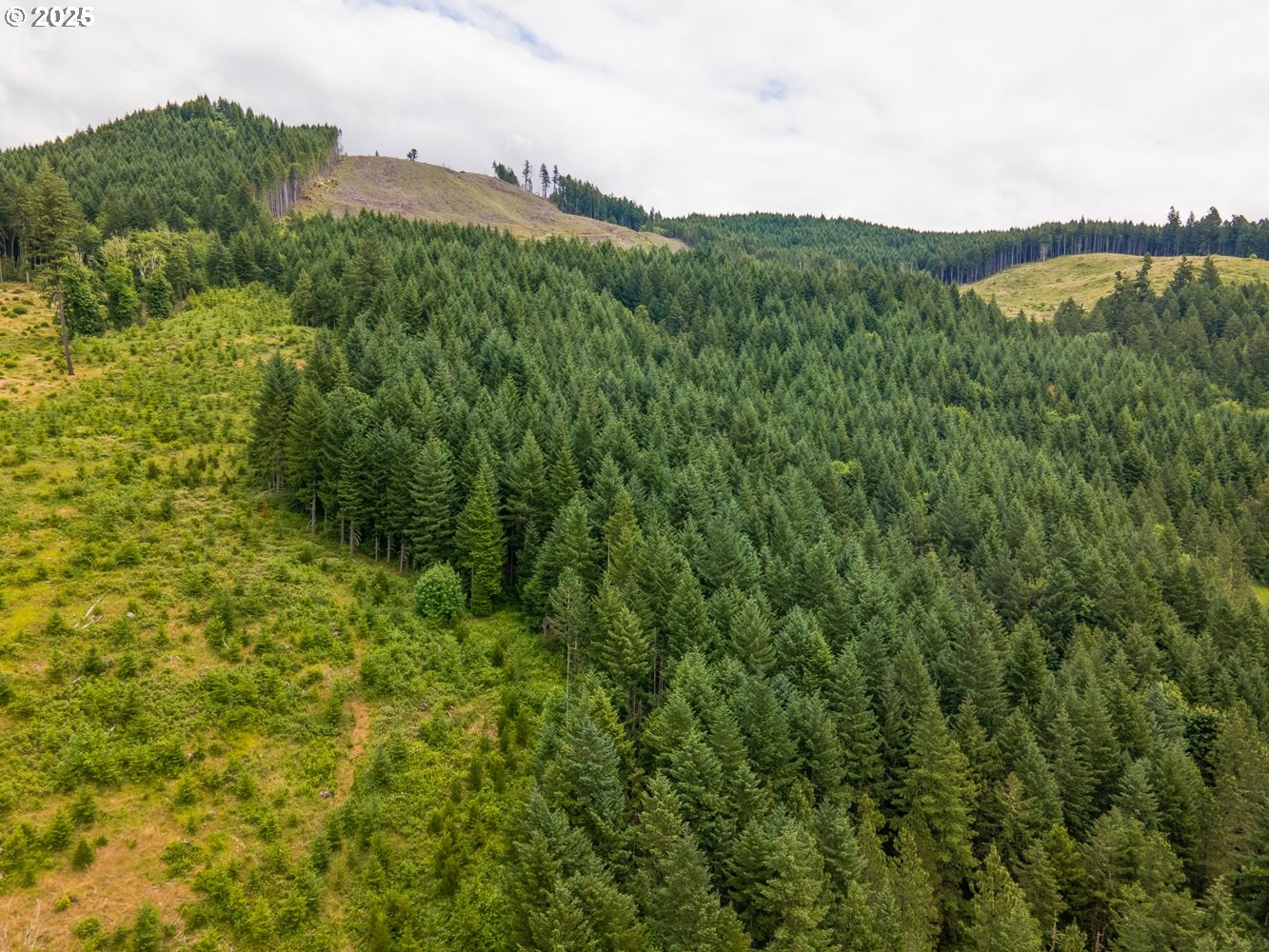 Rat Creek RD, CottageGrove, OR 97424