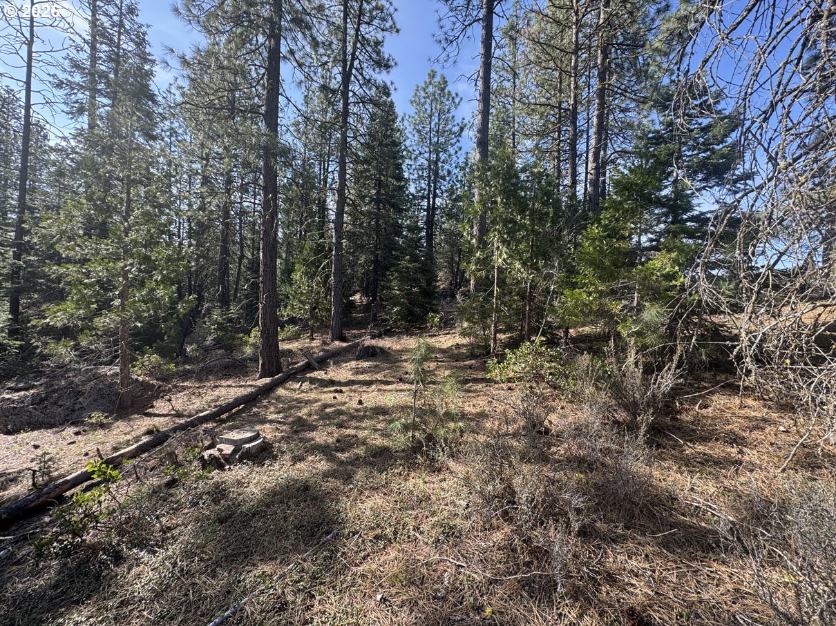 Cardinal Drive, Bonanza, OR 97623