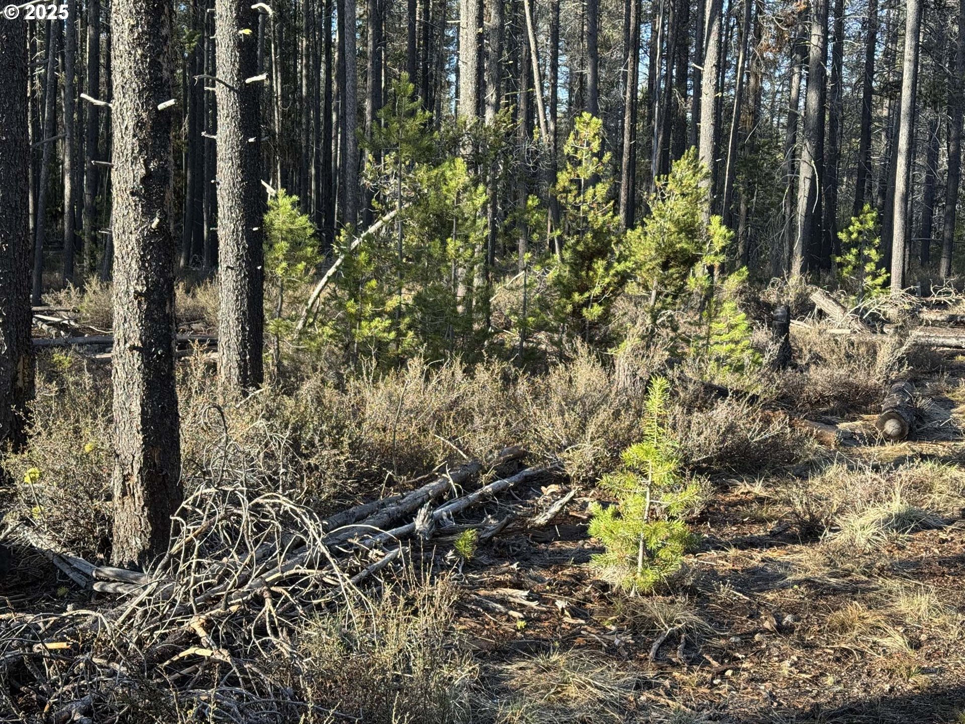Artesian DR, Chiloquin, OR 97624