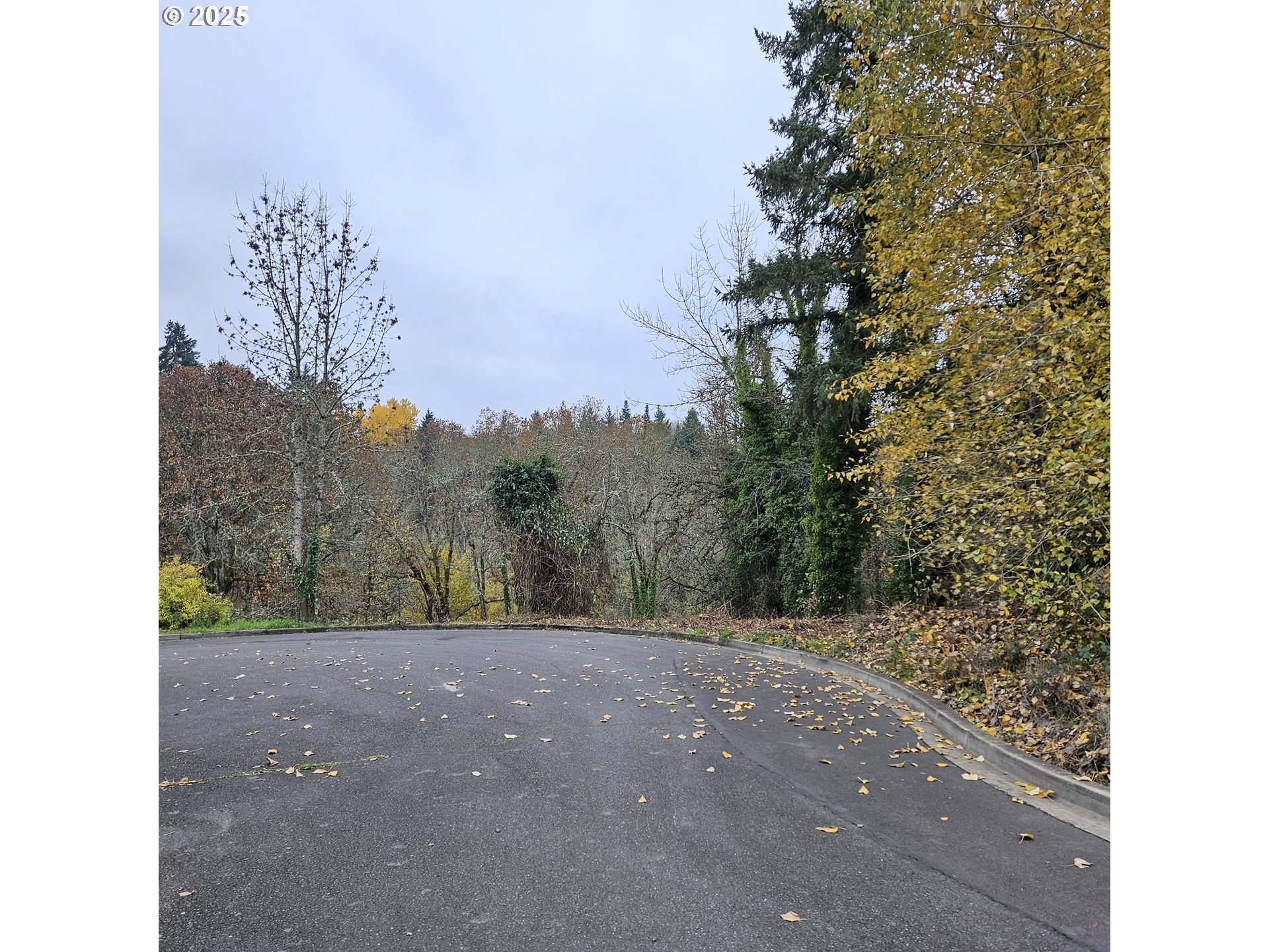 706 Elizabeth CT, Dayton, OR 97114