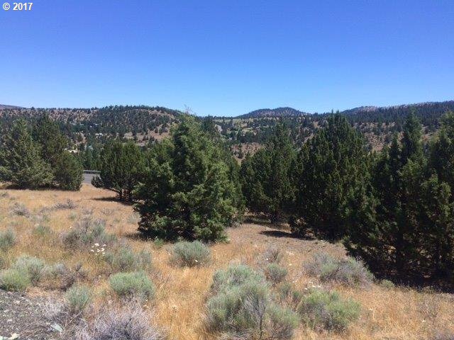Adam RD, CanyonCity, OR 97820