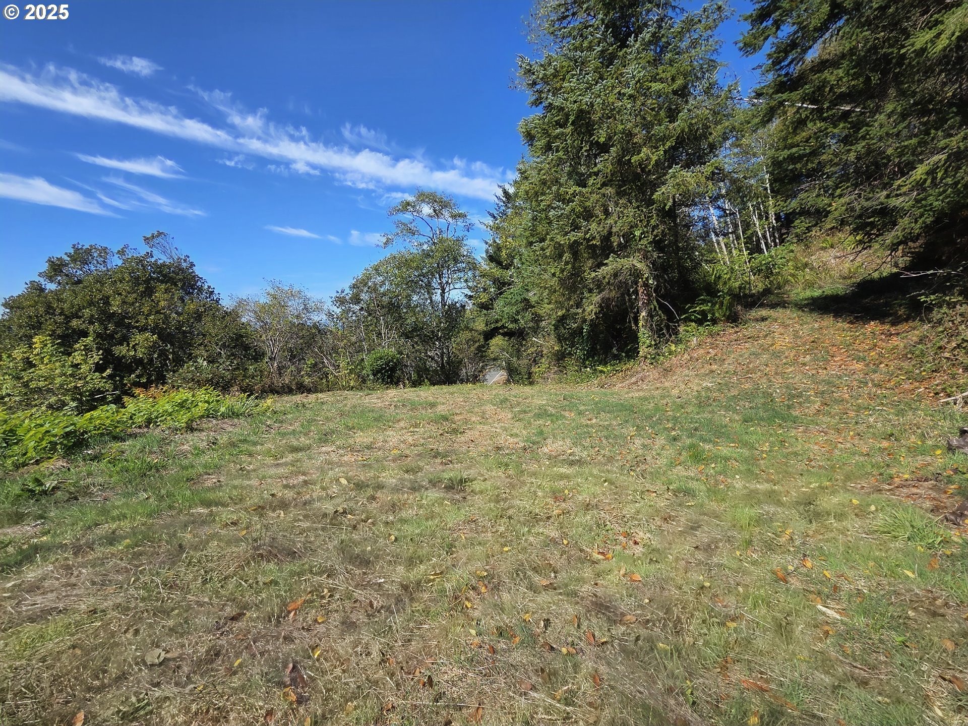 Hillside Acres RD, GoldBeach, OR 97444