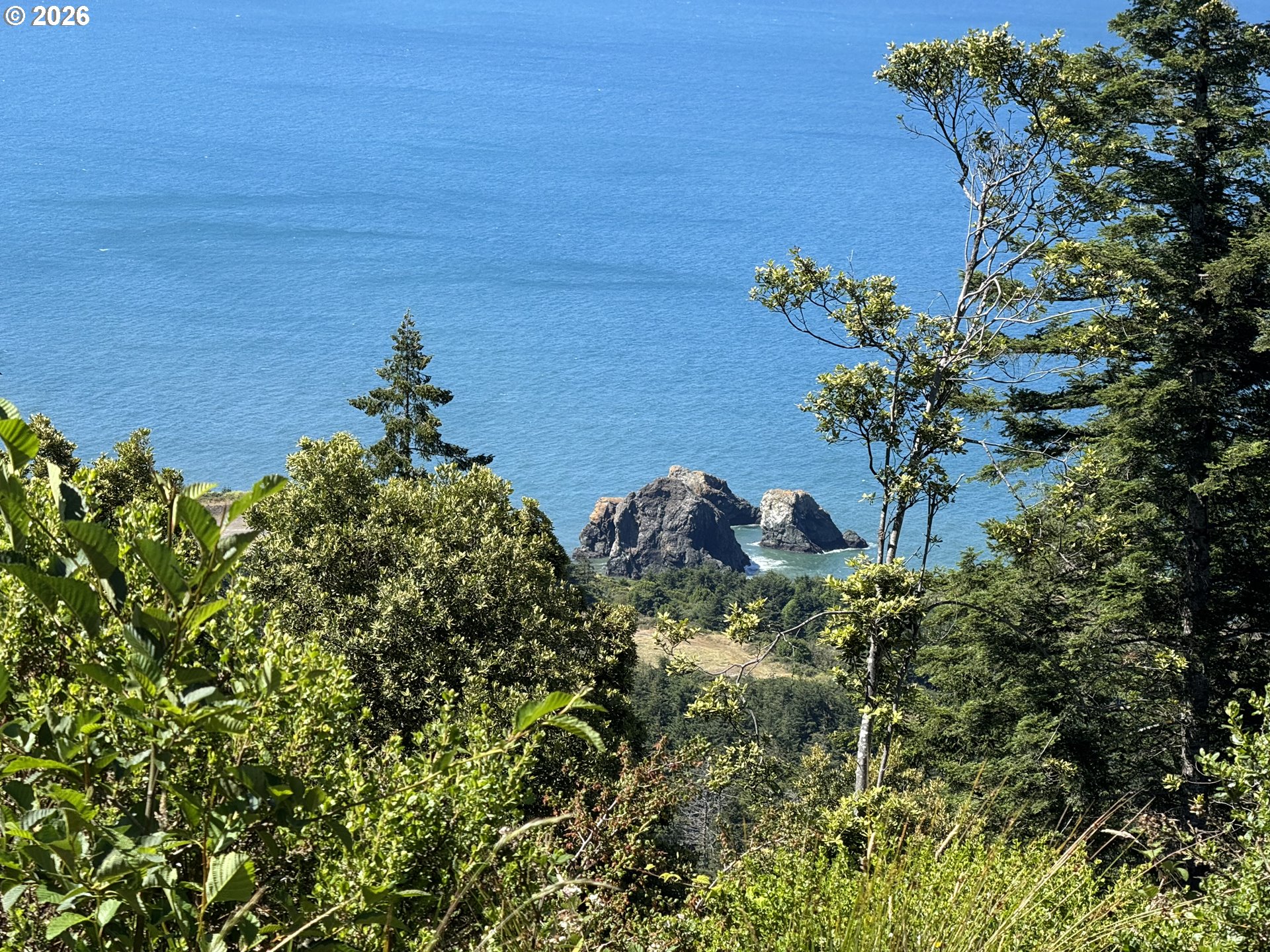 38097 PACIFIC HIGHLANDS DR, PortOrford, OR 97465