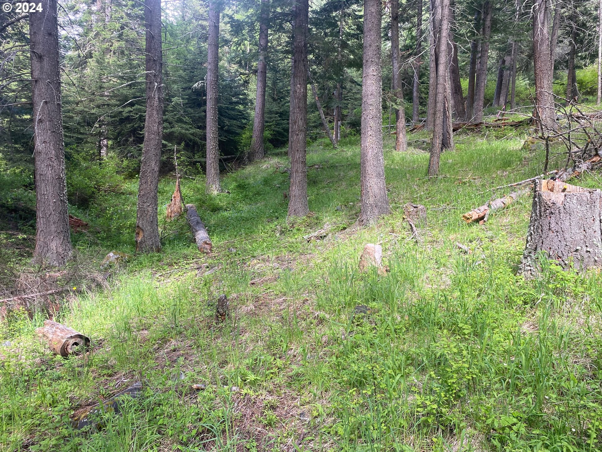 Tram LN, WallowaLake, OR 97846