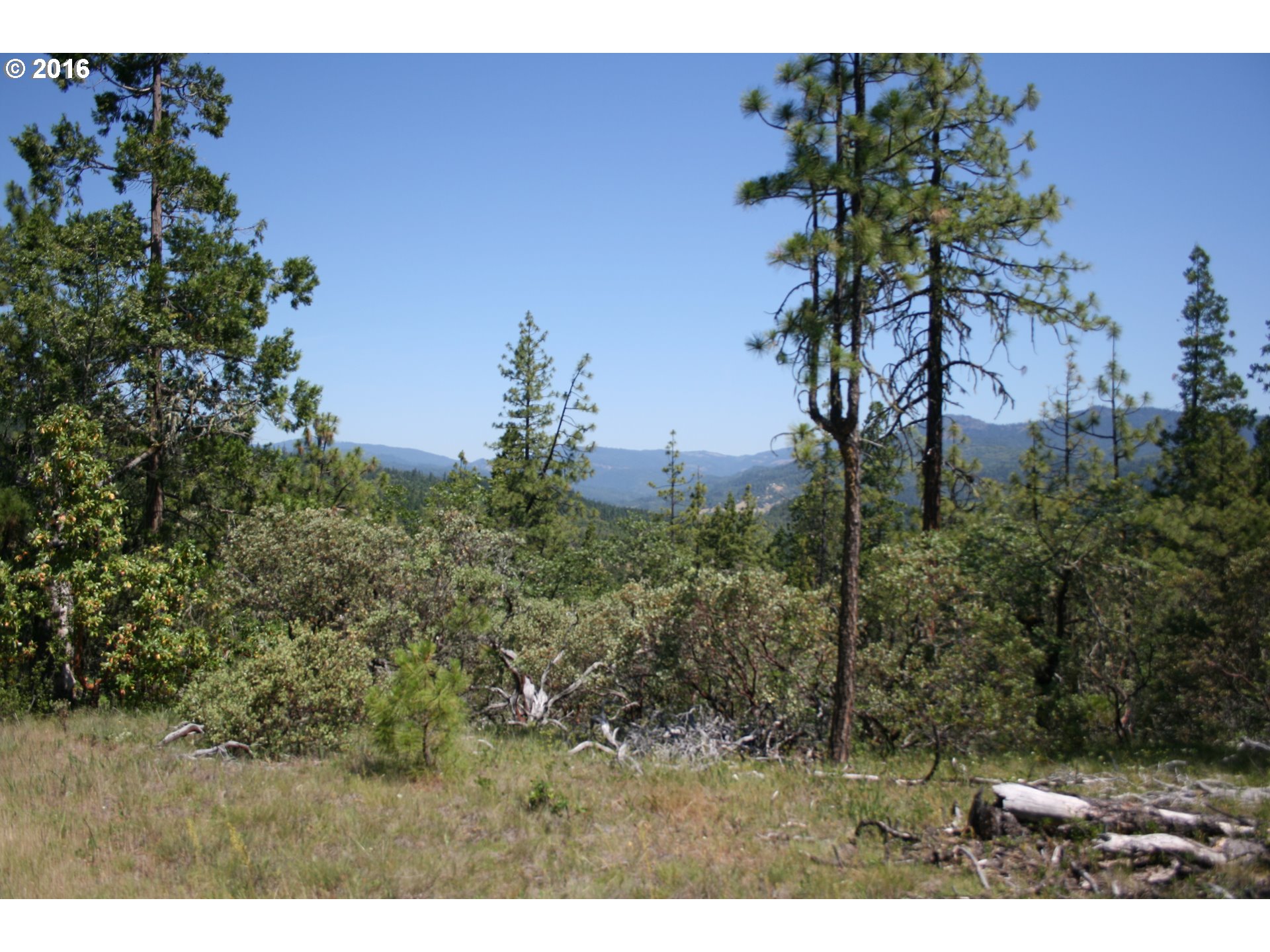 CITADEL RD, Trail, OR 97541