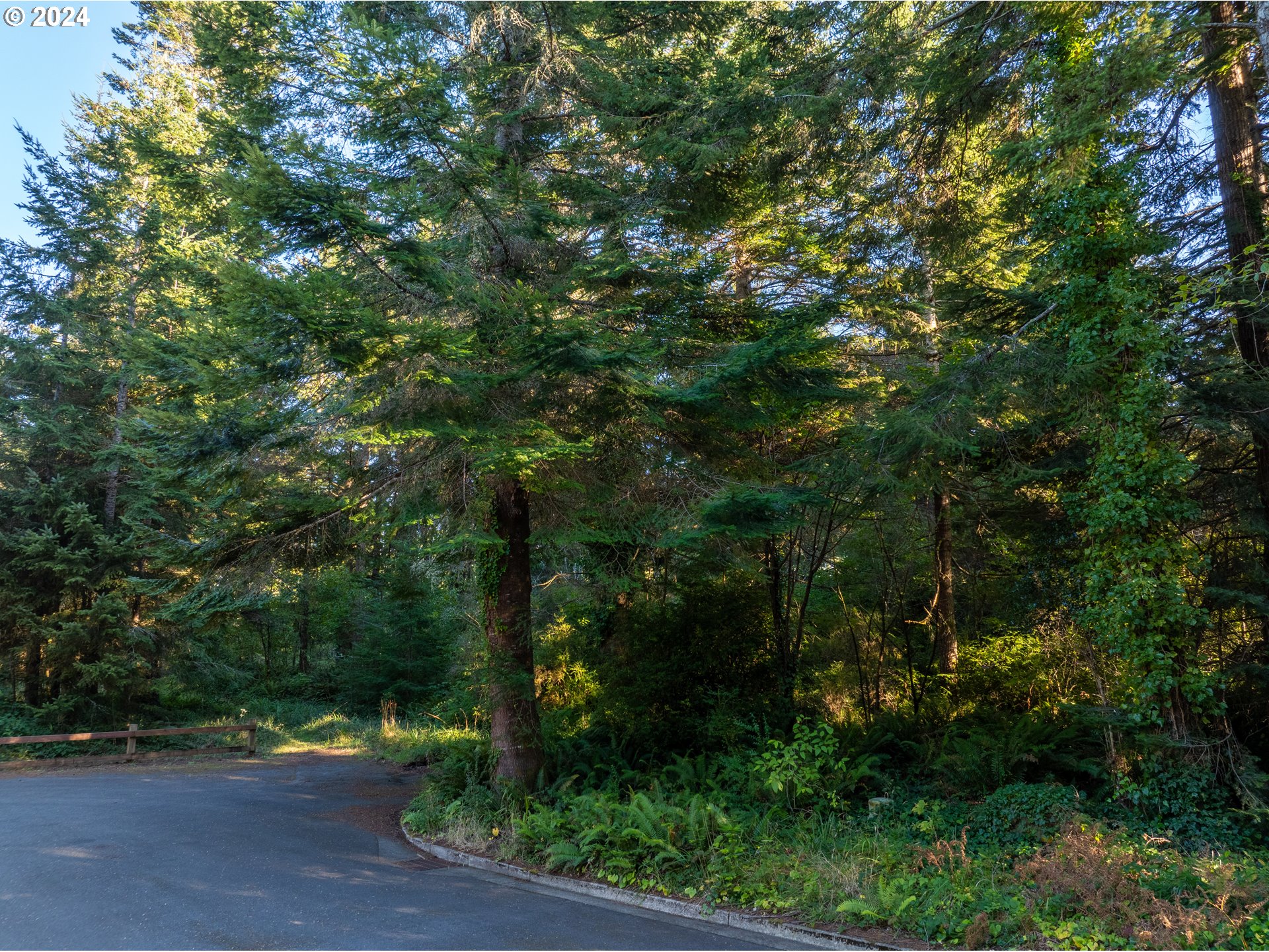 9th ST, Bandon, OR 97411