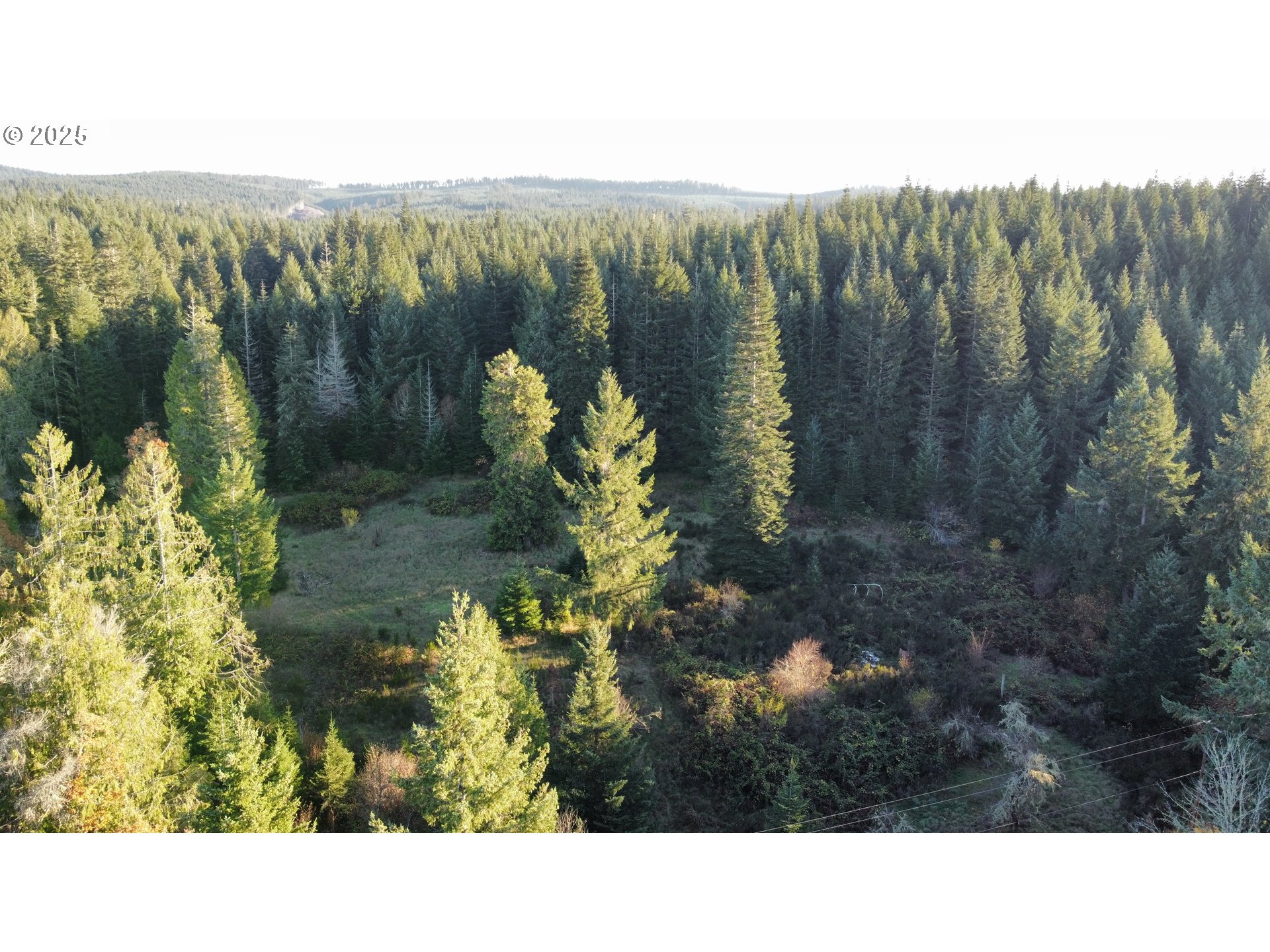 HARD CASH LN, CamasValley, OR 97416