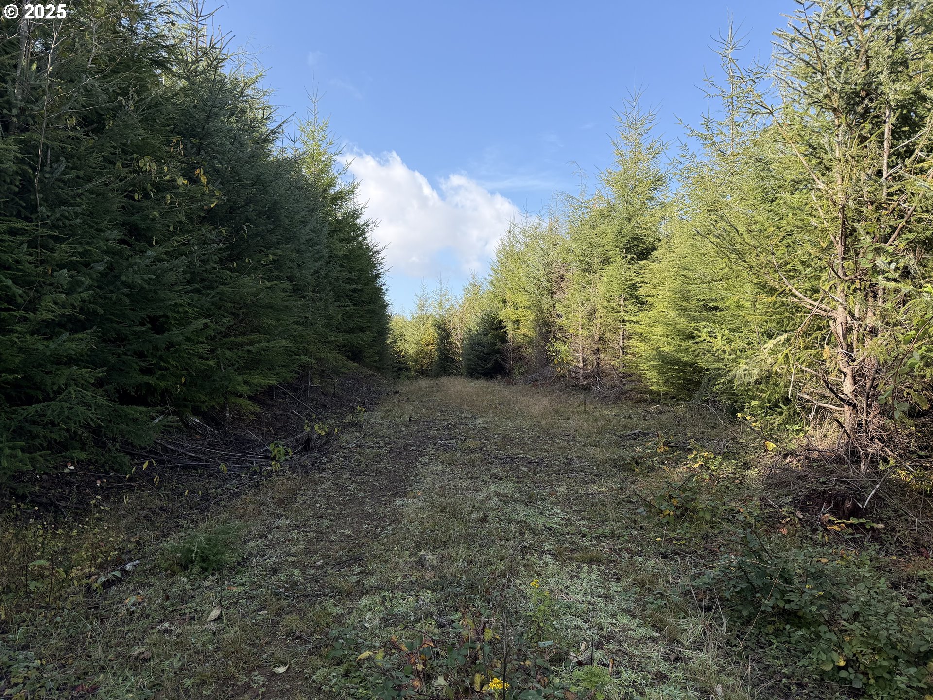 Necanicum HWY, Seaside, OR 97138