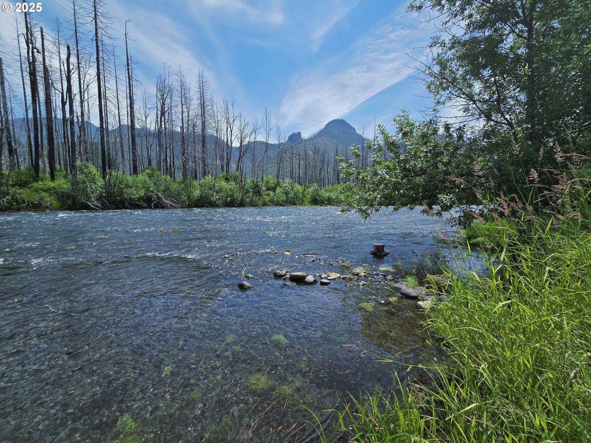 52262 MCKENZIE HWY, BlueRiver, OR 97413