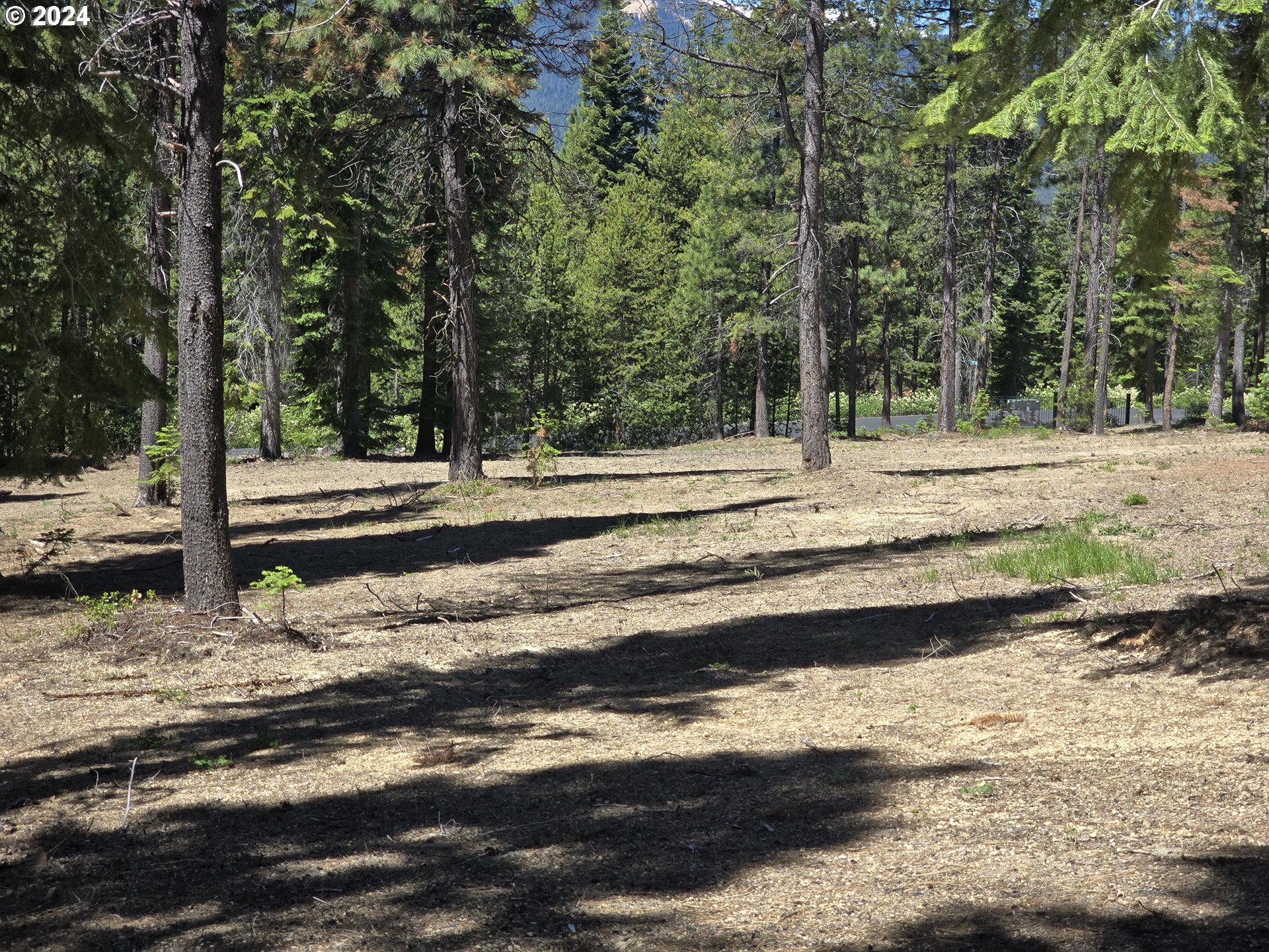 19 Elk Haven, CrescentLake, OR 97733