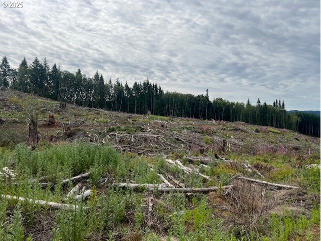Northrup Creek RD, Birkenfeld, OR 97016