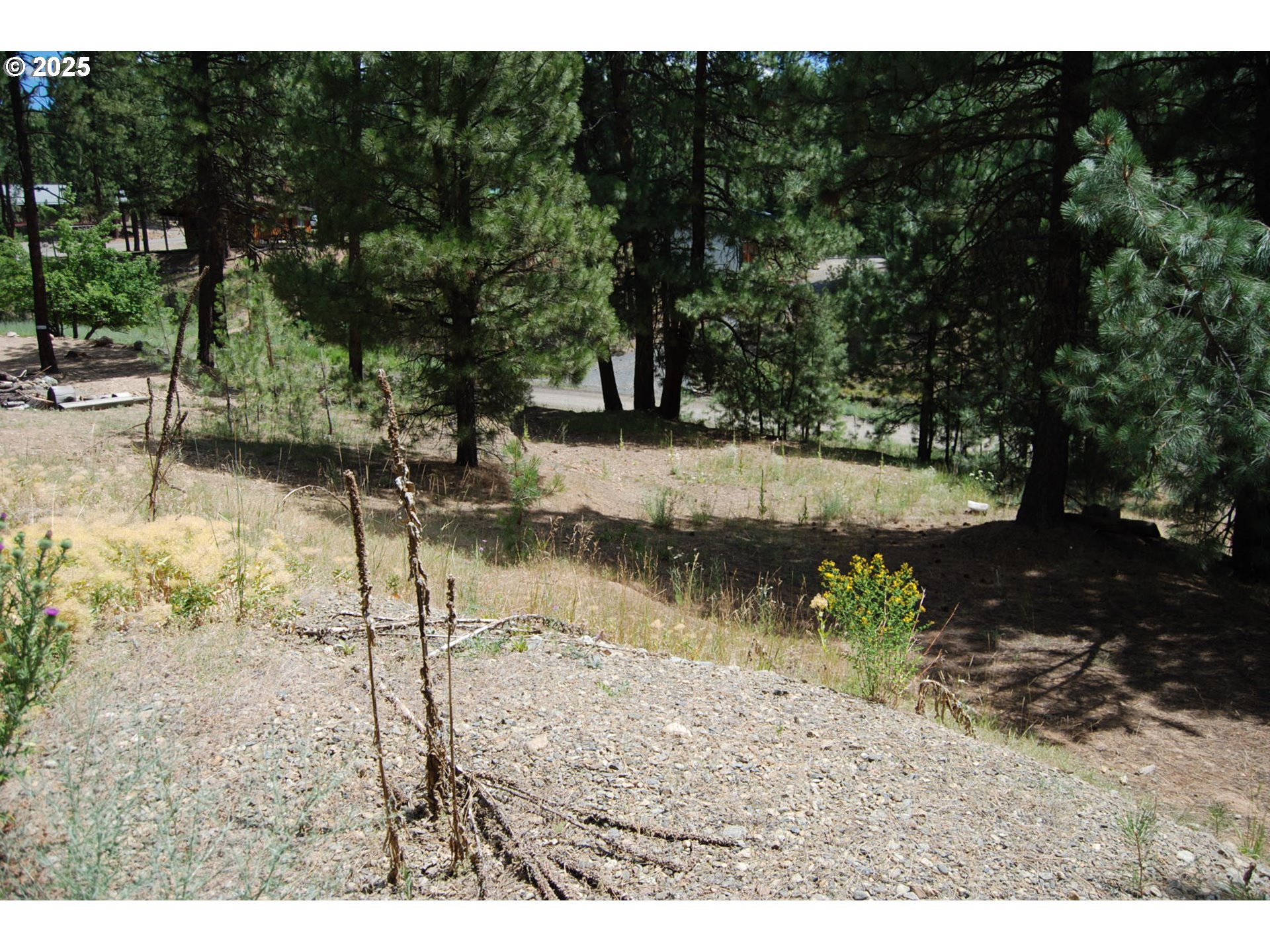 554 Bonanza ST, Sumpter, OR 97877