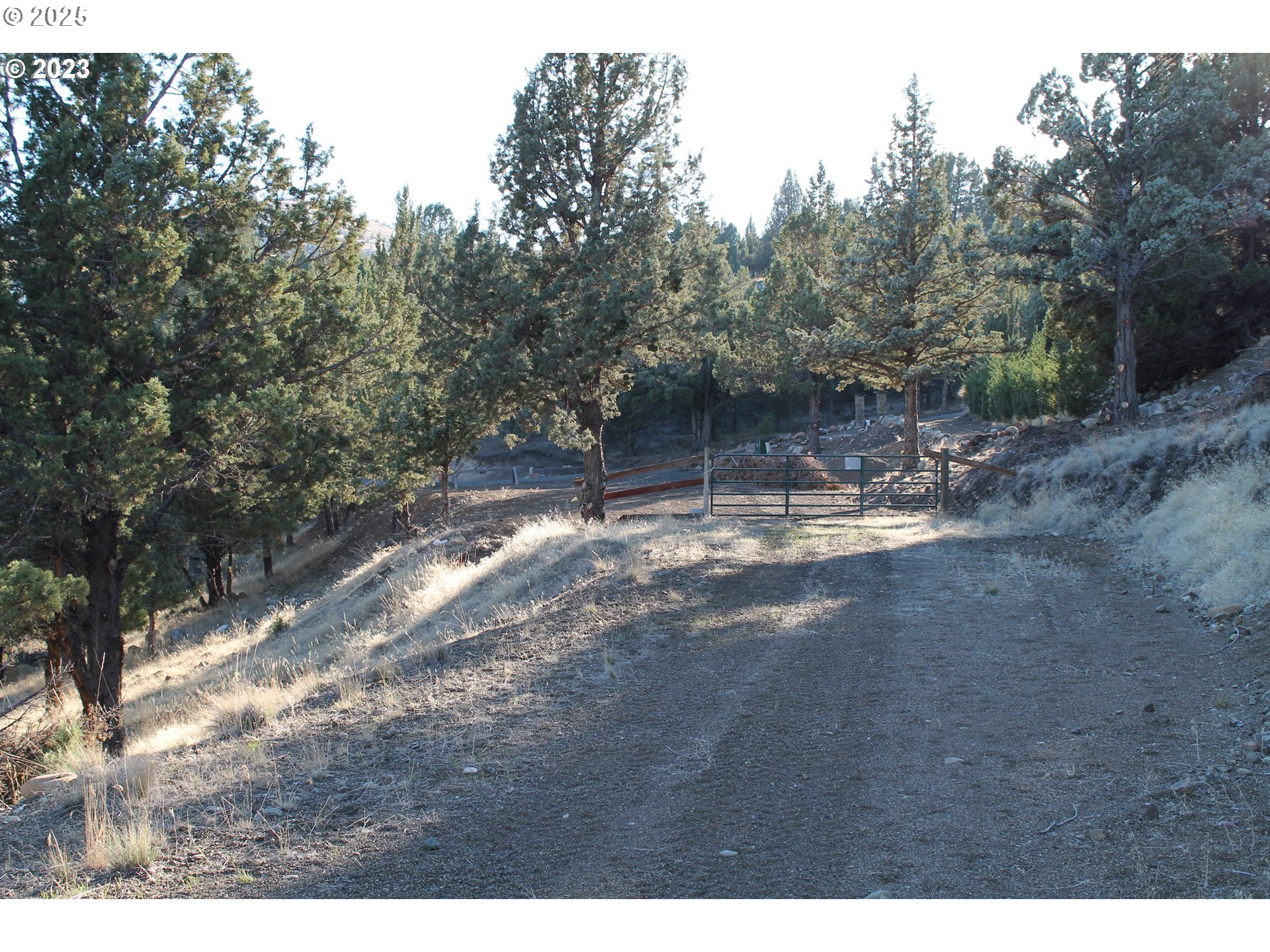 0 Cougar Ridge Road, CanyonCity, OR 97820