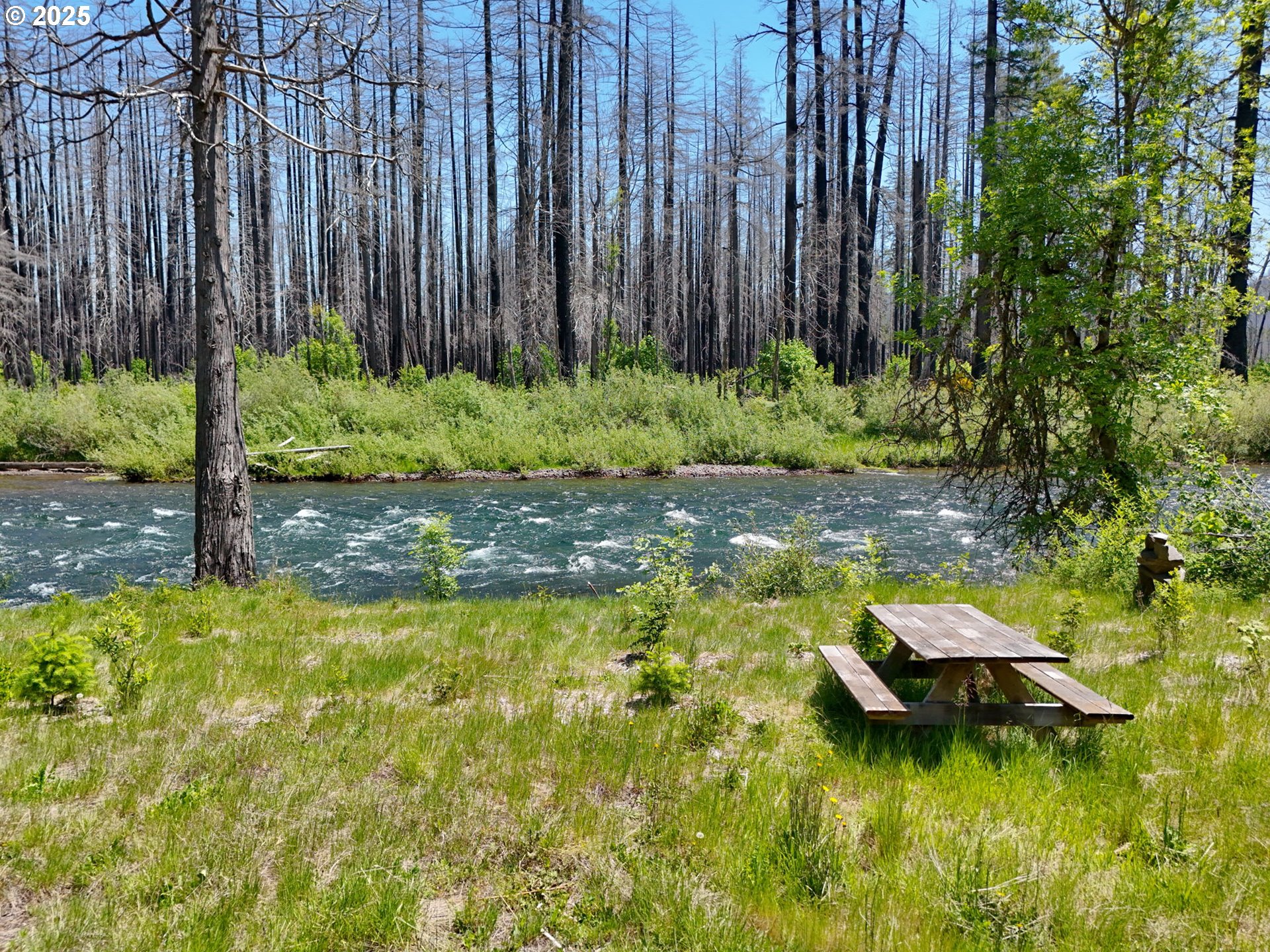 52984 MCKENZIE HWY, BlueRiver, OR 97413