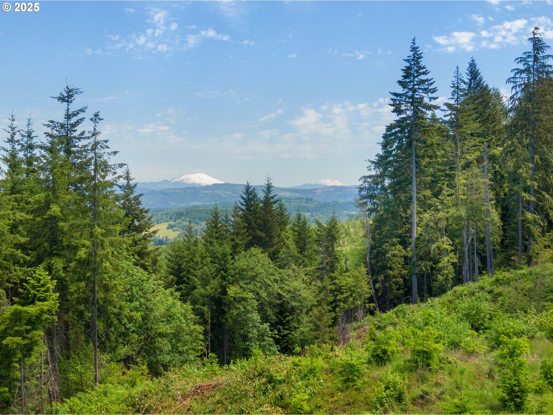 Meissner RD, DeerIsland, OR 97054