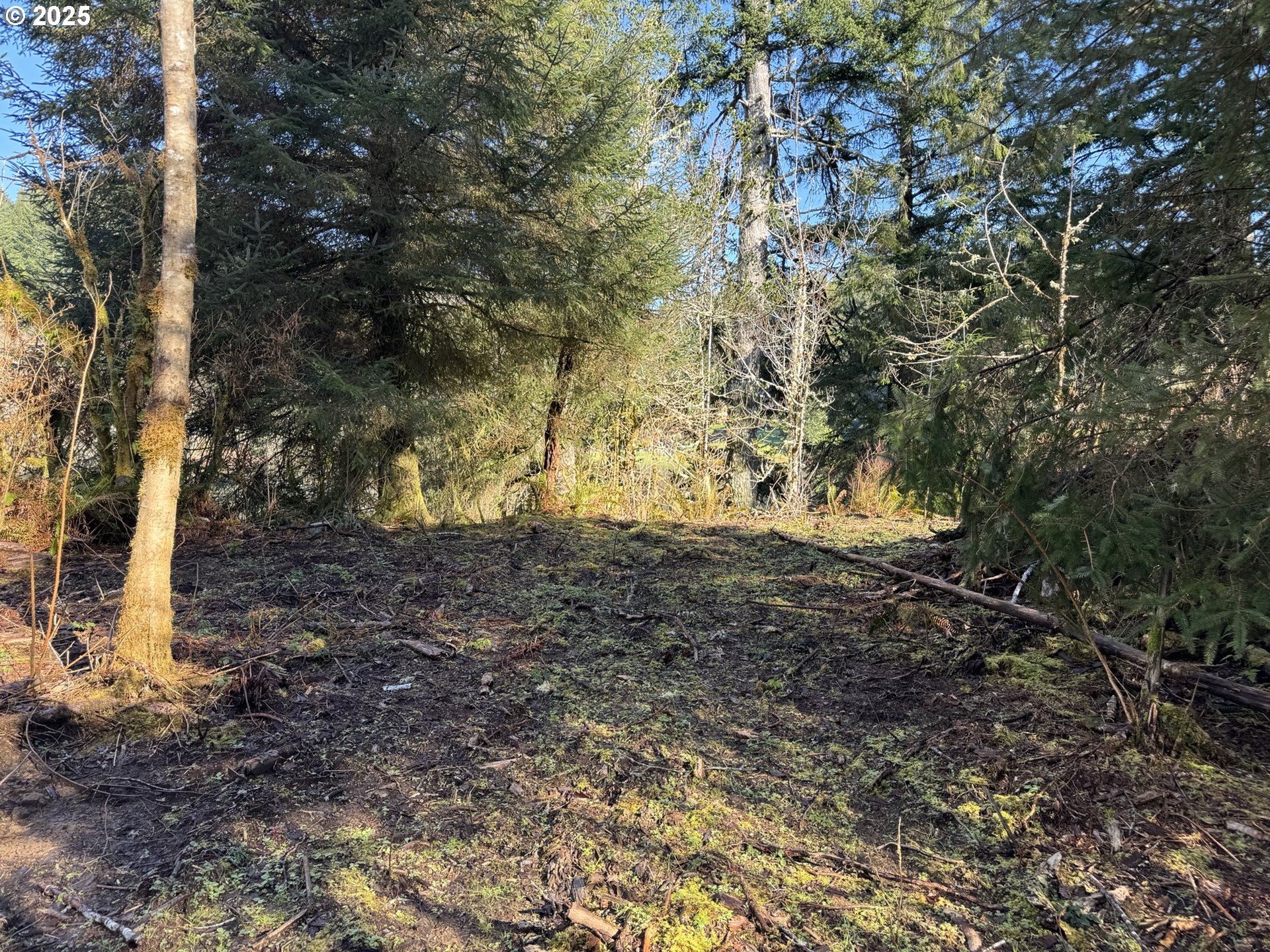 5 HILLTOP DR, Lakeside, OR 97449
